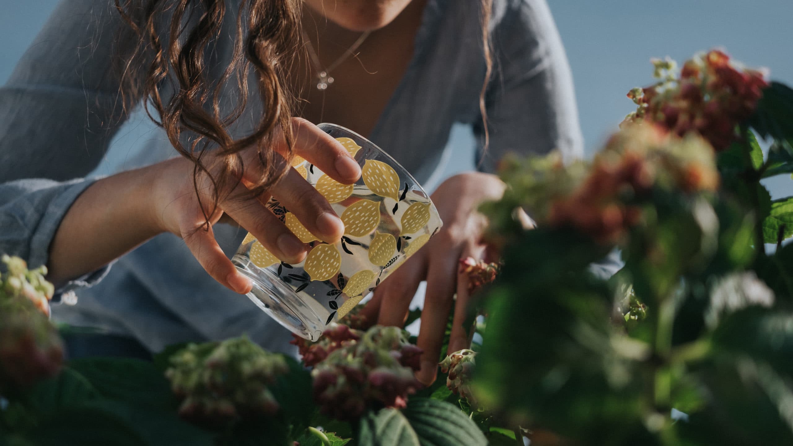 The Best Free Garden Catalogs to Order in 2026