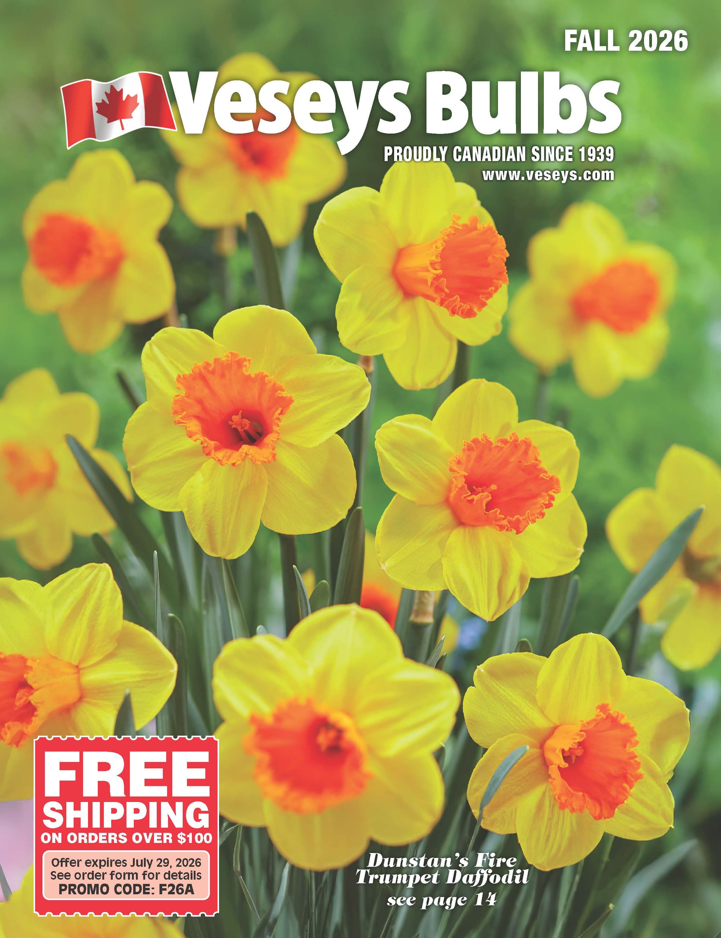 Veseys Bulbs