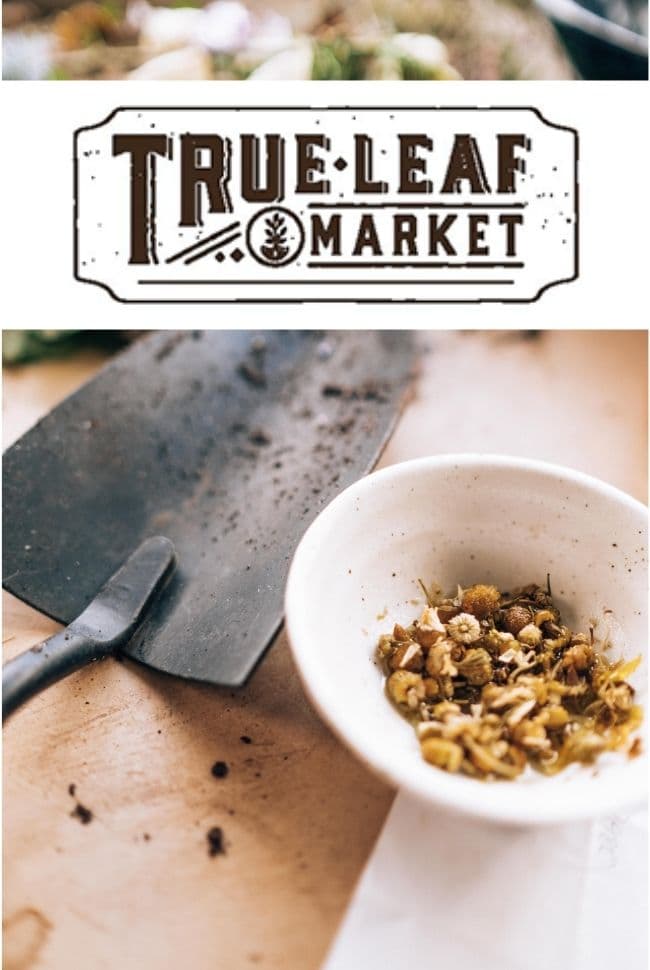 True Leaf Market