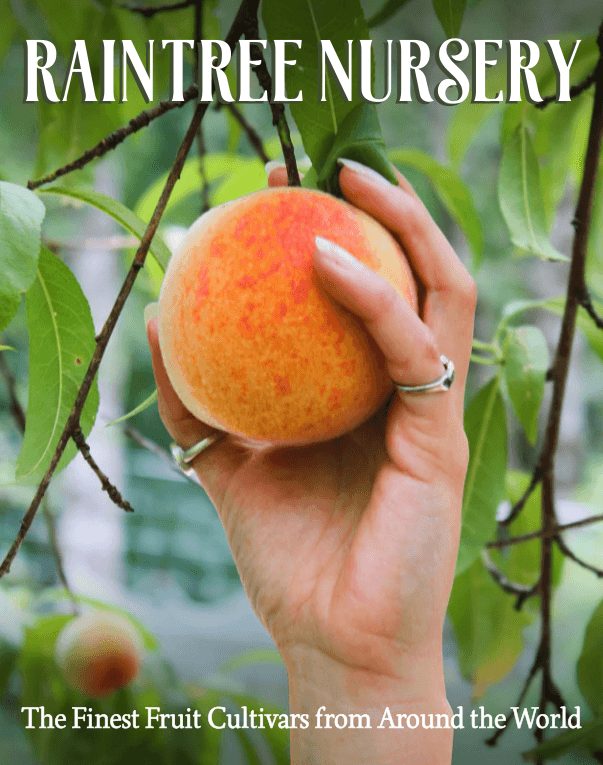 Raintree Nursery Catalog